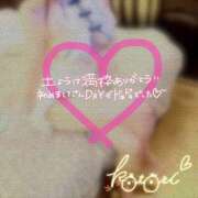 ヒメ日記 2025/06/11 14:22 投稿 ことり 川越ぽちゃまに