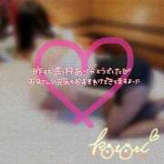 ヒメ日記 2025/06/12 14:22 投稿 ことり 川越ぽちゃまに