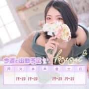 ヒメ日記 2025/06/16 09:42 投稿 ことり 川越ぽちゃまに