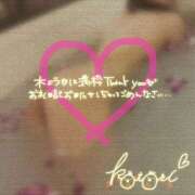 ヒメ日記 2025/06/17 14:22 投稿 ことり 川越ぽちゃまに