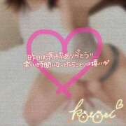 ヒメ日記 2025/06/18 14:32 投稿 ことり 川越ぽちゃまに