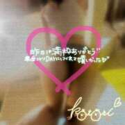 ヒメ日記 2025/06/21 16:32 投稿 ことり 川越ぽちゃまに