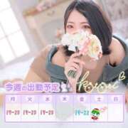 ヒメ日記 2025/06/23 00:02 投稿 ことり 川越ぽちゃまに