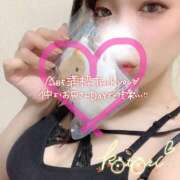 ヒメ日記 2025/06/25 02:12 投稿 ことり 川越ぽちゃまに