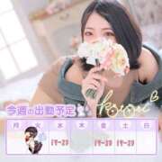 ヒメ日記 2025/06/30 04:22 投稿 ことり 川越ぽちゃまに