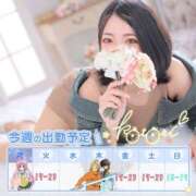 ヒメ日記 2025/07/07 01:02 投稿 ことり 川越ぽちゃまに