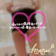 ヒメ日記 2025/07/12 12:04 投稿 ことり 川越ぽちゃまに