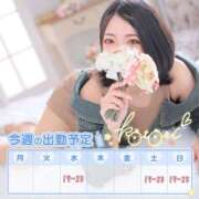 ヒメ日記 2025/07/14 03:12 投稿 ことり 川越ぽちゃまに