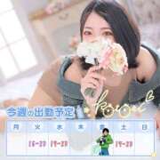 ヒメ日記 2025/07/21 02:42 投稿 ことり 川越ぽちゃまに