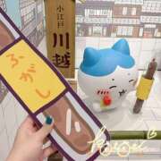 ヒメ日記 2025/07/23 16:23 投稿 ことり 川越ぽちゃまに