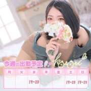 ヒメ日記 2025/08/05 22:12 投稿 ことり 川越ぽちゃまに