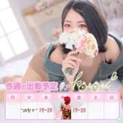 ヒメ日記 2025/08/12 03:22 投稿 ことり 川越ぽちゃまに