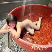 ヒメ日記 2025/11/04 17:03 投稿 ことり 川越ぽちゃまに