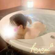 ヒメ日記 2026/01/05 01:22 投稿 ことり 川越ぽちゃまに