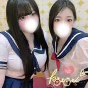 ヒメ日記 2026/01/25 12:03 投稿 ことり 川越ぽちゃまに