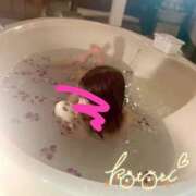 ヒメ日記 2026/02/18 11:12 投稿 ことり 川越ぽちゃまに