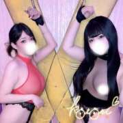 ヒメ日記 2026/02/19 13:12 投稿 ことり 川越ぽちゃまに