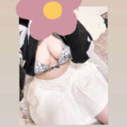 ヒメ日記 2025/01/17 15:44 投稿 ぱる ぷりぷりプリン