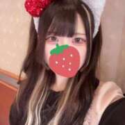 ヒメ日記 2025/04/05 12:40 投稿 もねか MAHARAJA(マハラジャ)千葉