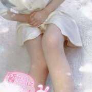 ヒメ日記 2025/01/21 00:53 投稿 れん 秋葉原コスプレ学園(AKG)