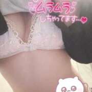 ヒメ日記 2025/02/23 18:51 投稿 れん 秋葉原コスプレ学園(AKG)