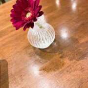 ヒメ日記 2025/07/25 14:27 投稿 さゆり 佐世保人妻デリヘル「デリ夫人」