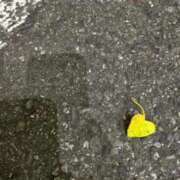 ヒメ日記 2025/11/16 22:13 投稿 さゆり 佐世保人妻デリヘル「デリ夫人」