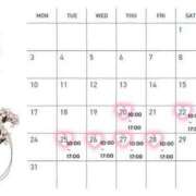 ヒメ日記 2025/03/15 20:46 投稿 青山美希 皇帝別館（こうていべっかん）