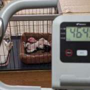 ヒメ日記 2025/10/19 08:30 投稿 ゆうり 奥鉄オクテツ東京店（デリヘル市場）