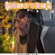 ヒメ日記 2025/11/19 00:30 投稿 ゆうり 奥鉄オクテツ東京店（デリヘル市場）