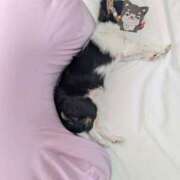 ヒメ日記 2026/01/16 08:38 投稿 ゆうり 奥鉄オクテツ東京店（デリヘル市場）