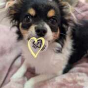 ヒメ日記 2026/02/05 07:51 投稿 ゆうり 奥鉄オクテツ東京店（デリヘル市場）