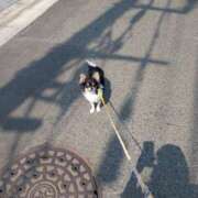 ヒメ日記 2026/04/05 05:59 投稿 ゆうり 奥鉄オクテツ東京店（デリヘル市場）