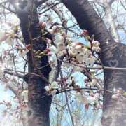 ヒメ日記 2025/03/31 16:11 投稿 りり 池袋あられ