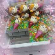 ちゅーる ちゅーる🌷 池袋あられ