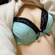 ヒメ日記 2025/06/23 05:26 投稿 みのんにゃん★全身が超敏感猫★ 発情期限定!!即ズボ動物愛護団体