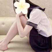 ヒメ日記 2026/01/16 05:29 投稿 みのんにゃん★全身が超敏感猫★ 発情期限定!!即ズボ動物愛護団体