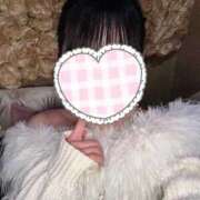 ヒメ日記 2026/02/17 18:44 投稿 みのんにゃん★全身が超敏感猫★ 発情期限定!!即ズボ動物愛護団体