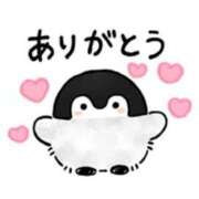 ヒメ日記 2025/03/19 04:40 投稿 そら 名古屋ちゃんこ