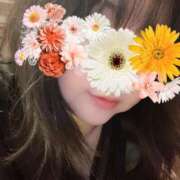 ヒメ日記 2025/03/25 14:31 投稿 そら 名古屋ちゃんこ