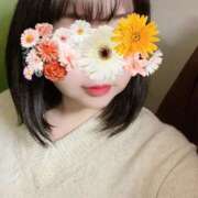 ヒメ日記 2025/03/27 10:57 投稿 そら 名古屋ちゃんこ