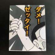 ヒメ日記 2025/03/28 10:27 投稿 そら 名古屋ちゃんこ