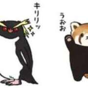 ヒメ日記 2025/04/01 03:07 投稿 そら 名古屋ちゃんこ