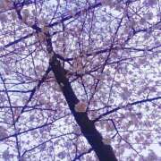 ヒメ日記 2025/04/01 23:17 投稿 そら 名古屋ちゃんこ