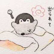 ヒメ日記 2025/04/05 09:17 投稿 そら 名古屋ちゃんこ