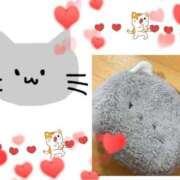 ヒメ日記 2025/04/05 15:47 投稿 そら 名古屋ちゃんこ