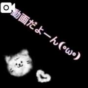 ヒメ日記 2025/04/05 17:07 投稿 そら 名古屋ちゃんこ