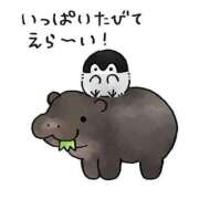 ヒメ日記 2025/04/10 03:27 投稿 そら 名古屋ちゃんこ