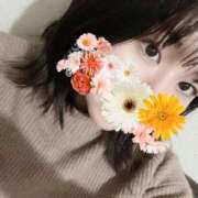 ヒメ日記 2025/04/10 17:47 投稿 そら 名古屋ちゃんこ