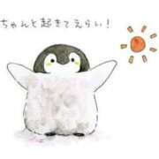 ヒメ日記 2025/04/11 09:57 投稿 そら 名古屋ちゃんこ